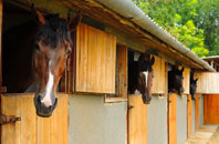 free Glenholt stable construction quotes